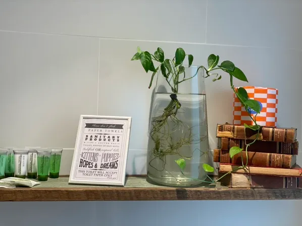 Bathroom shelf — stocked and arranged as shown